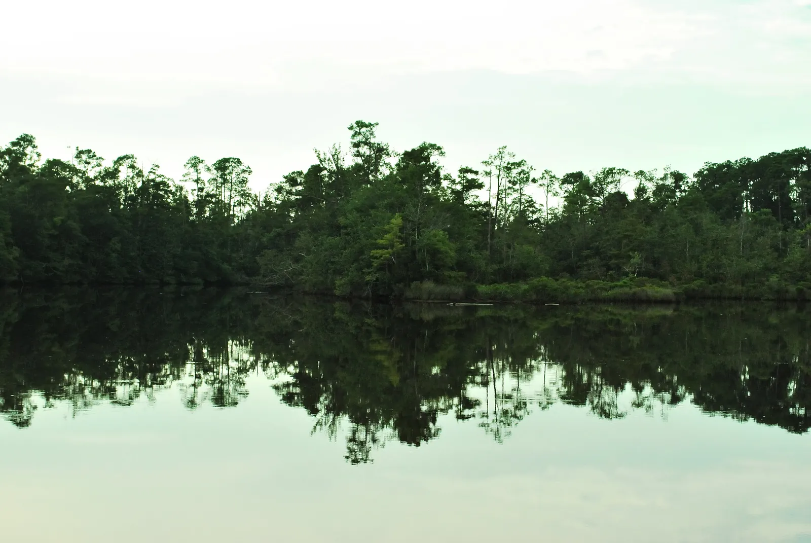 The Biloxi River, which forms part of Woolmarket's western edge in north Biloxi.
