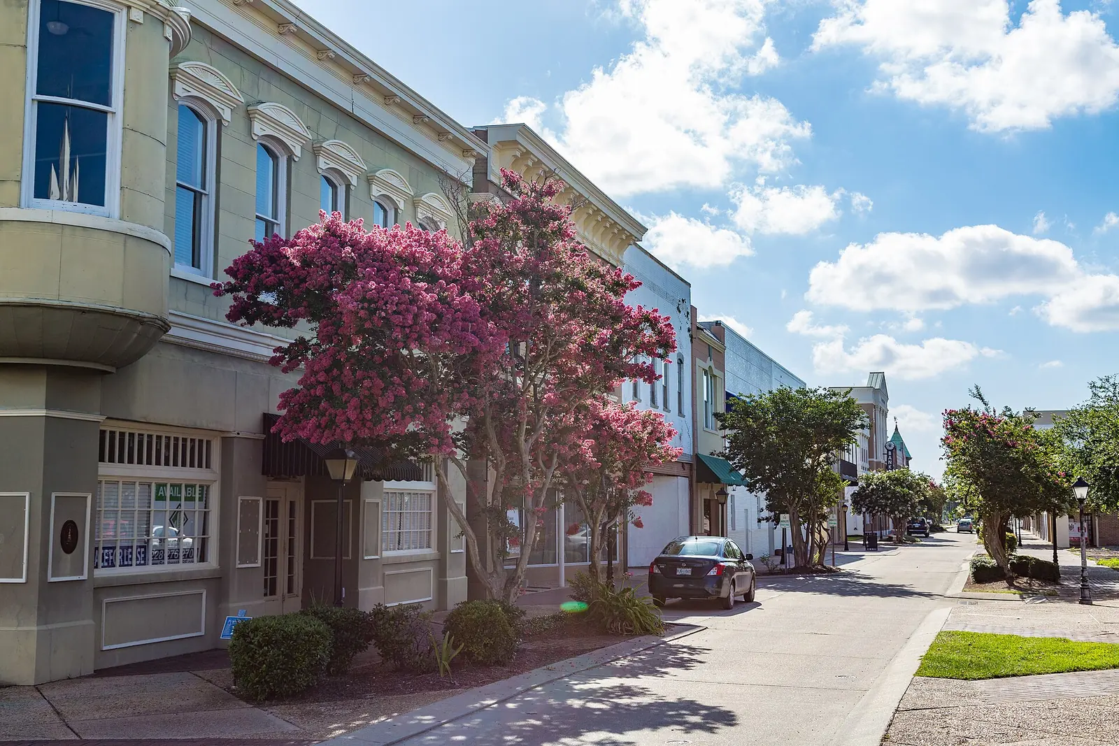 Storefronts and crepe myrtles on a street in downtown Biloxi.