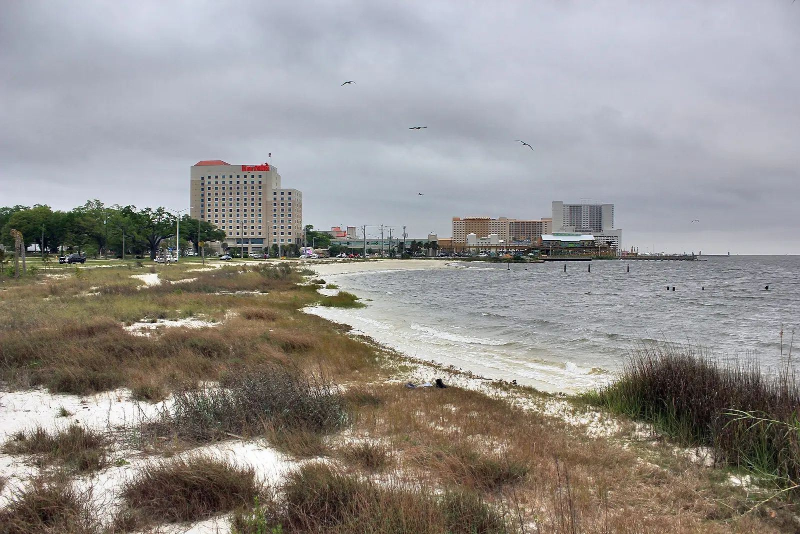 The beach in east Biloxi with Harrah's Gulf Coast and the Golden Nugget on Beach Boulevard, near The Blind Tiger, one of the restaurants on this list.